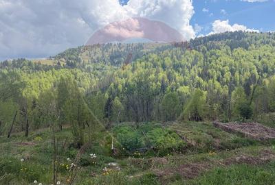 Proprietate eco-turistică de vânzare – 62.330 mp, Horea, Alba - 32