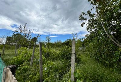 Casă + teren 4430 mp, vie și pomi fructiferi, 22 km de Tecuci - 27