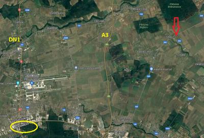 Teren agricol intravilan de 7803 mp, în Dascălu