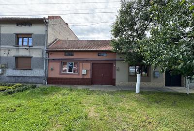 Casa in Lugoj pe Str. Fagetului - 15