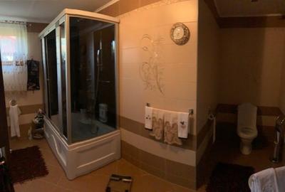 CASA SUPERBA 460mp, teren 15 ari! In Baia Sprie! - 5