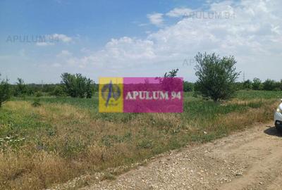 Săbăreni, teren 12620 mp pentru case, lângă pădure - 5