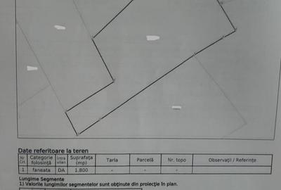 Casa de vanzare Targu Lapus zona centrala cu teren 3800mp si anexe - 2