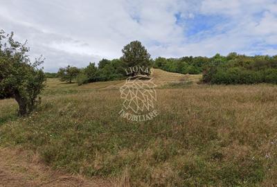 Teren 5200 mp-ideal cabane, case de vacante, agricultura-Livezile - 1