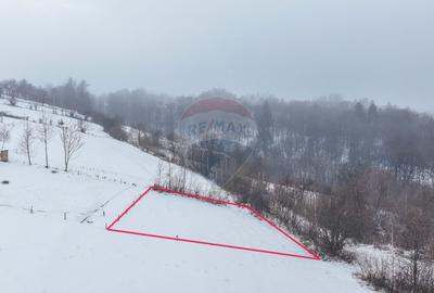 Teren intravilan de 500 mp, în Tohanu Vechi