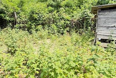 BAIA SPRIE - spre Cavnic Vila D+P+E 168mp + anexa cu teren 1526mp! - 7