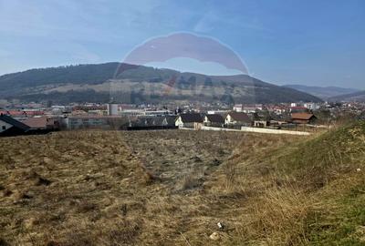 Teren 2,606mp Piatra-Neamt / Strada Orizontului - 1