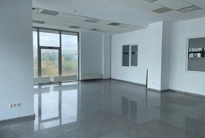 Spatiu depozitare si productie soseaua de centura Odai - 8
