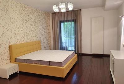 Ambasada SUA. Apartament 300mp, terasa 100mp, garaj. - 27