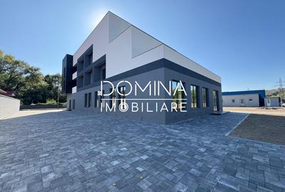 Inchiriere cladire moderna P+2 cu parcare proprie - str. Tineretului - Targu Jiu - 2