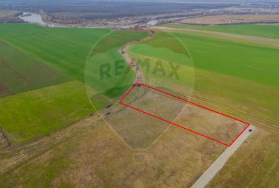 Teren intravilan 10.000 mp în Zona Industrială Sud Arad - 9