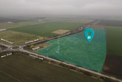 Teren 84000 mp la 20 km de Arad, la DN79 - 1