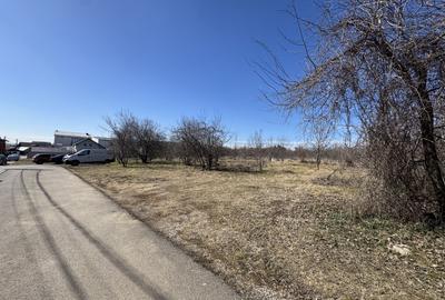 Cel mai bun teren din Paulesti - 5