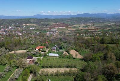 Teren de vanzare langa padure Copalnic Manastur - 7