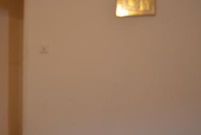 Busteni-Apartament 2 camere, et 1 - 10