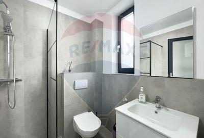 Spațiu comercial de inchiriat, Turnisor, acces stradal - 6
