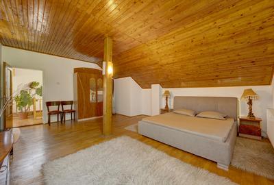 Casa de vacanta cu teren 5394 mp, Pucioasa, Dambovita - 9