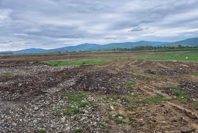 Teren intravilan 1450 mp – Carpiniș , Ideal pentru casă de locuit - 17