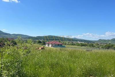 Oportunitate de investitie,Valea ghinzii,Teren de 1,2 Hectare - 2