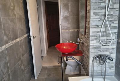 AMFITEATRU  GARSONIERA LIBERA, 36 MP , GAZE LA USA PRET 79000 EURO - 20