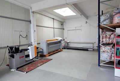 Hală producție și birouri – 545 mp – Craiova - Zona Calea Severinului - 2