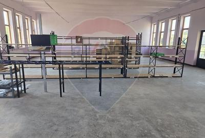 Spațiu industrial 15435 mp. de vânzare in Tinca. - 3