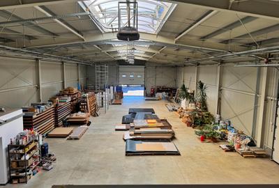 Cladiri comerciale si de depozitat - 6