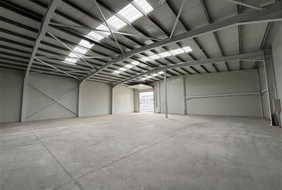 Inchiriere depozit/hala/spatiu industrial Chiajna - Chitila - Rudeni - 1