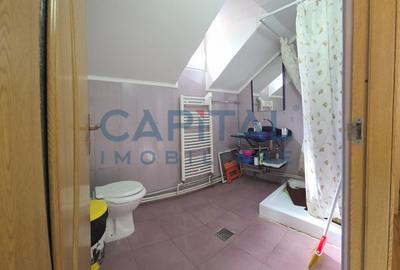 Cabana la munte Rucar / Satic - 22