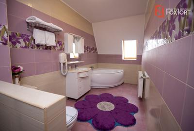 Hotel Miky Arad de vanzare bussiness operational functional - 38 camere - 11