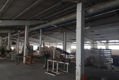 Spatii industriale - 5