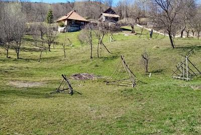 Teren retras panoramic cu panta lina, utilități si copaci mari - 5