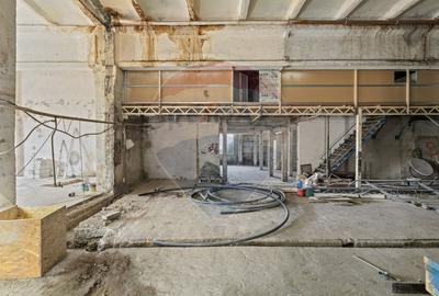 Spațiu industrial de închiriat 770 m² – zona Aradul Nou - 3