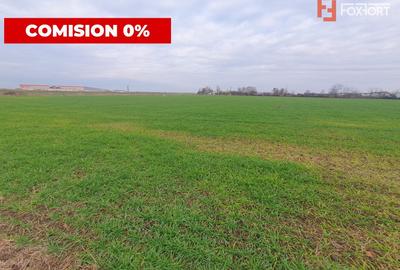 Comision 0% Teren extravilan agricol 21,32 ha sau intravilan cu PUZ aprobat - 4