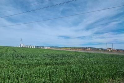 TEREN EXTRAVILAN LANGA FABRICA DE CHERESTEA Holzindustrie Schweighofer - RECI - 11