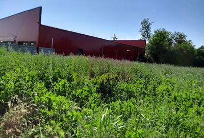 Movilita (IL)-teren de inch. 1800 mp stradal, 30 ml desch, langa Profi - 1