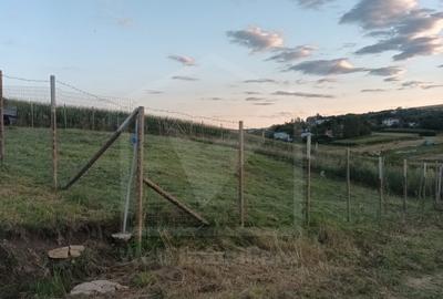 Teren cu potential, pentru investitie - 4