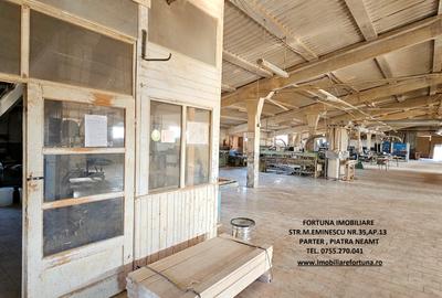 Complex imobiliar format din cladiri si constructii industriale+teren intravilan - 17