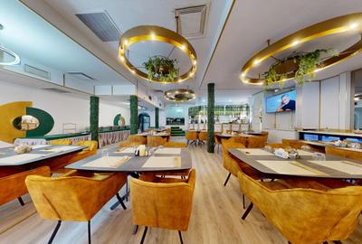 Spatiu comercial cu teren Arcul de Triumf - 2