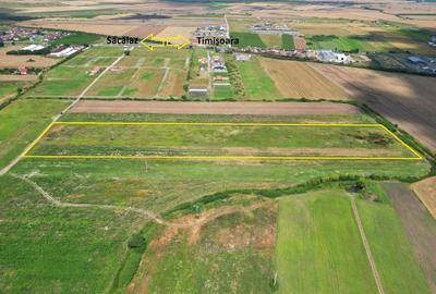 Teren Sacalaz 3,6 Ha - Pretabil PUZ Locuinte - 8