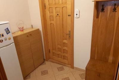 Garsoniera de inchiriat – Focsani, etaj 2, 30 mp, mobilata si utilata - 2