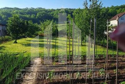 Teren intravilan | De vanzare | 600 mp | 13.6 ml deschidere | Ciugud - 2