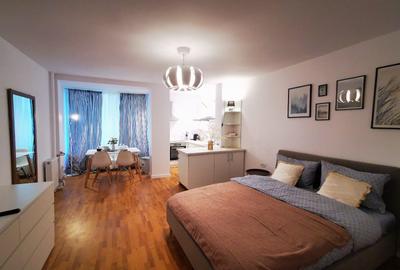 Apartament 1 camera Bulevardul Take Ionescu / Medicina ! - 6
