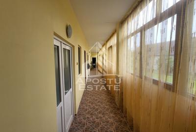 Casa individuala cu 6 camere,2 bai,teren de 1017 mp Pischia Central - 12