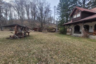 Cabana de vanzare ,Valea Avrigului/ 3000 mp/Langa padure - 4