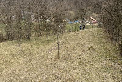 Teren Salatrucel Valcea intravilan cu curent 380V 3300mp+4200 faneata si padure - 4