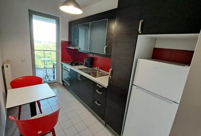 TINERETULUI - ASMITA GARDENS, 2 camere, etaj 13, vedere superba, terasa, paza - 13