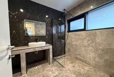 Apartament 3 camere de inchiriat zona Herastrau - 10