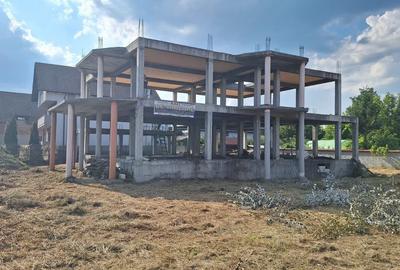 Constructie structura beton armat 810 MPC Curtea de Arges - 1