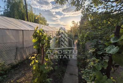 AP. 94MP 4CAM PARTER+GRADINĂ150MP GIARMATA-Timișoara - 9